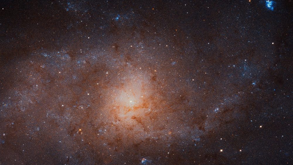 Hubble mosaic, 2019