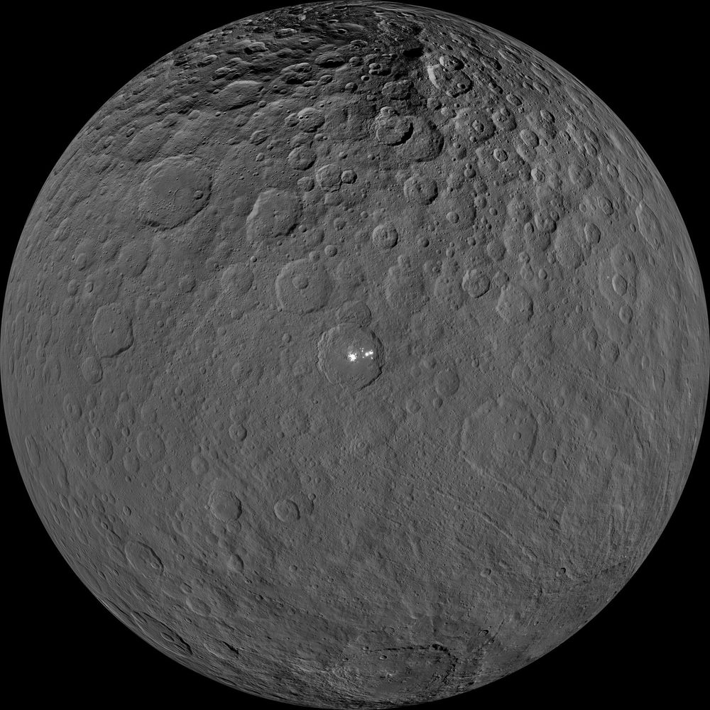 Ceres: Dawn orthographic view centred on Occator