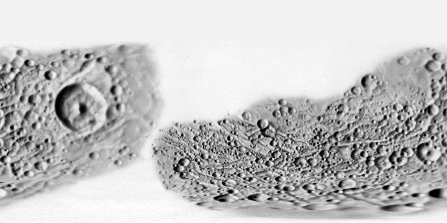 Mimas: Global mosaic texture (NASA 3D Resources)